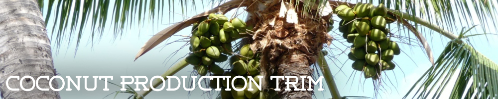OurServices-CoconutProductionTrim
